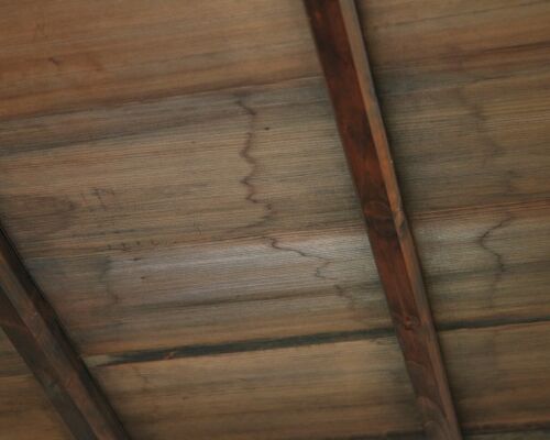 AdobeStock_387276728