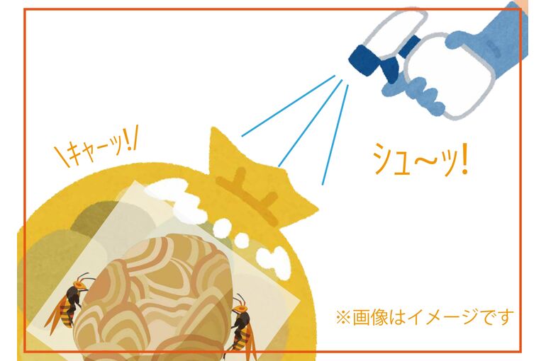 ハチの巣駆除イメージ_page-0001
