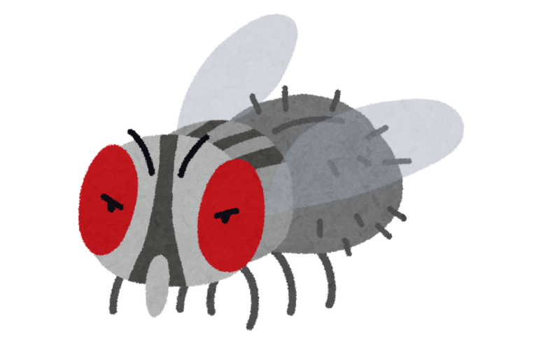 bug_hae